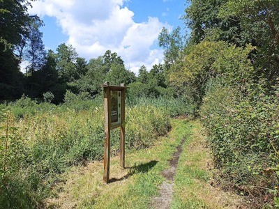 Image de l'événement Balade à la découverte de la réserve de l'Ermitage - Braine-le-Château