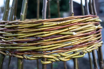 Image de l'événement Atelier d’architecture végétale - Latinne