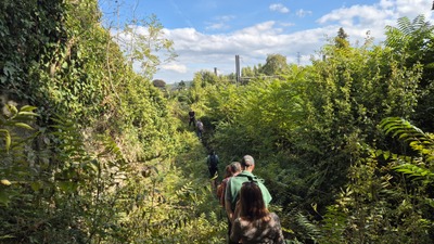 Image de l'événement Balade guidée au cœur de la réserve naturelle : Quand la nature reprend ses droits - Flémalle