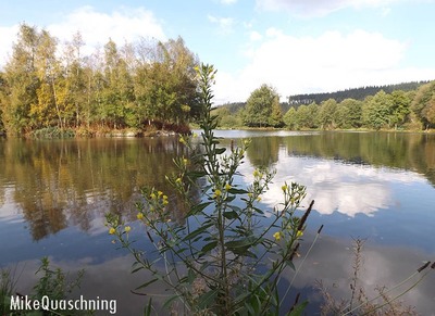 Image de l'événement Tage des offenen Weihers - St.Vith