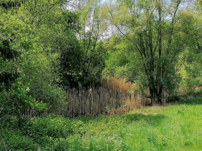 Image de l'événement Echappé : Balade entre nature et nouvelles voies douces - Flémalle
