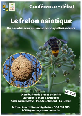 Image de l'événement Conférence-débat : Le frelon asiatique - La Hestre