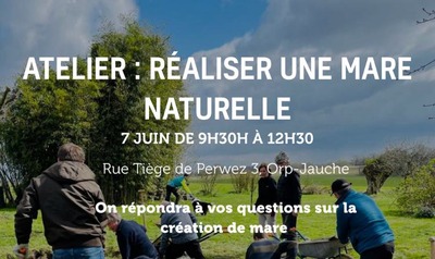 Journée mare & amphibiens