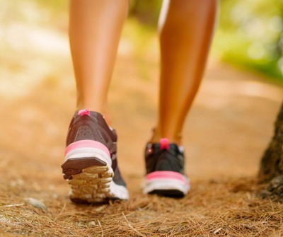 Image de l'événement Balade ornithologique au bois de Laurensart