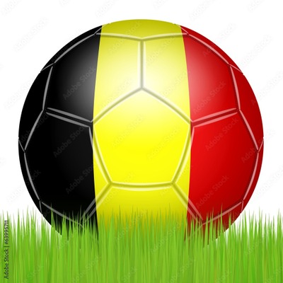 TOUS ENSEMBLE DERRIÈRE LES DIABLES ROUGES ! -  Diffusion des matchs de la Belgique :