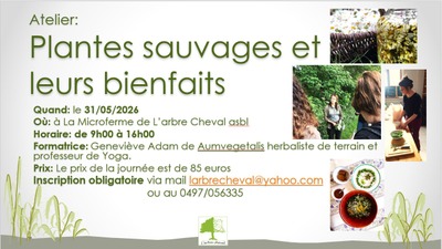 Atelier : plantes sauvages et leurs bienfaits