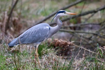 Image de l'événement Journées Wallonnes de l'Eau 2026 - Projection de film - Lillois
