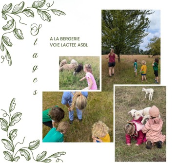 Image de l'événement Stages à la bergerie La Voie Lactée ASBL - Archennes