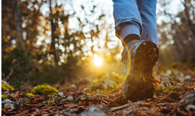 Image de l'événement Marche ADEPS de Tourinne - Tourinne