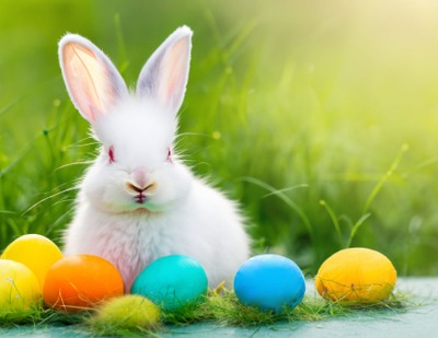 Image de l'événement Chasse aux œufs du 4 avril 2026 - montignies sur roc