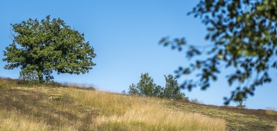 À la découverte de la réserve naturelle de la Rochette