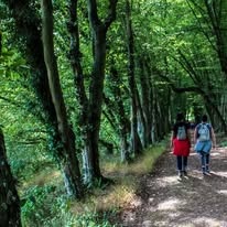 Image de l'événement Marche ADEPS Alfred Gadenne - Mouscron