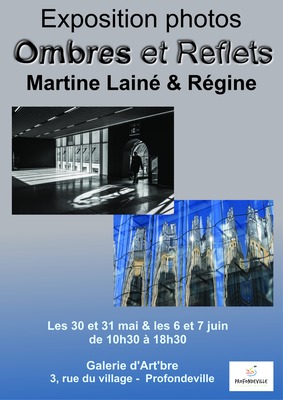 Image de l'événement Exposition photos "Ombre et reflets" à la Galerie d'Art'bre - Arbre