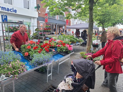 Image de l'événement Gare aux fleurs - Péruwelz