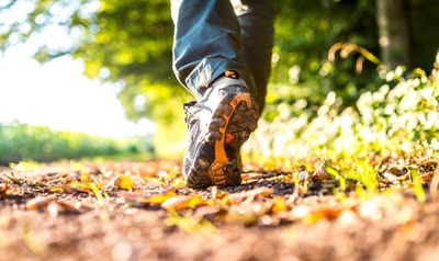 Image de l'événement Balade guidée - La balade de la Rainette des Marais en Printemps - Latinne
