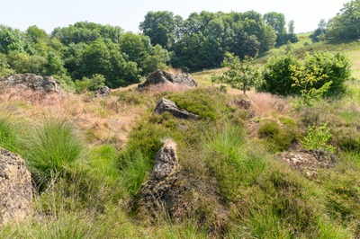 Image de l'événement Découvrez la réserve naturelle du Rocheux - Theux