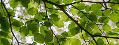 Image de l'événement Balade commentée - Oupeye