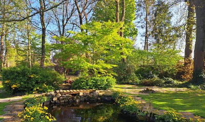 Image de l'événement "Le Paradis Caché", un jardin à visiter - Ath