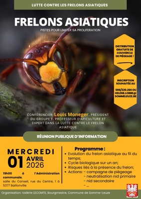 Image de l'événement Conférence sur le frelon asiatique - Somme-Leuze