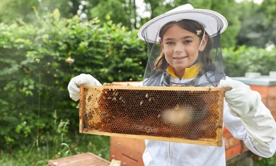 Stage "Apiculture & ferme"