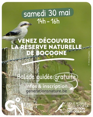 Balade guidée dans la réserve naturelle de Bocogne à Nassogne