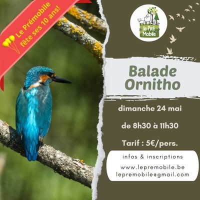 Sortie ornitho d'été