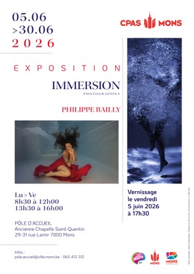 Exposition "Immersion" de l'artiste Philippe Bailly
