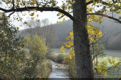 Festival des Guidances 2026 : Entre forêt et rives de la Sûre