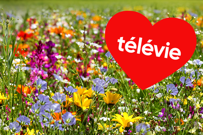 Image de l'événement Repas de printemps au profit du Télévie