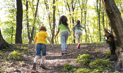 Image de l'événement Marche Adeps à Rencheux - Vielsalm