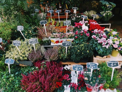 Marché Fleuri