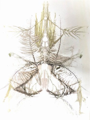 Image de l'événement 72 saisons - Exposition "Filer le temps" par Sandra Petrovitch et Sandrine de Borman - GREZ-DOICEAU