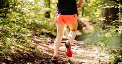 Image de l'événement Trail Forestois - Forêt