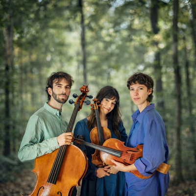 Bain de forêt musical - COMPLET