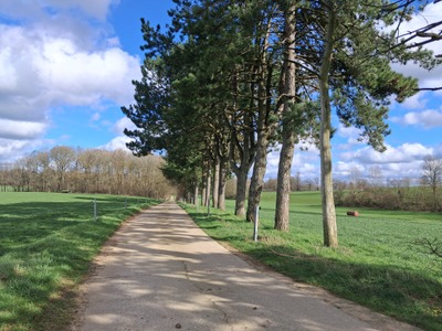 Image de l'événement Marche Gourmande Chardeneux dimanche 28 juin 2026 - Méan