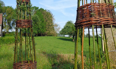 Image de l'événement Atelier Tontine à emporter - Latinne