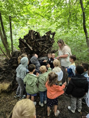 Stages Gribouill'art de l'été