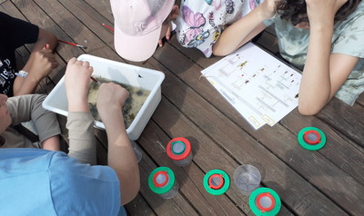 Image de l'événement WildLab Adventures : devenir mini-guide nature au Village du Saule - Latinne