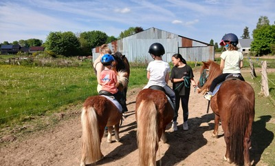Image de l'événement En Chemins ASBL - Équitation - Vaux-sur-Sûre