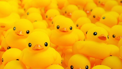 Image de l'événement Fête des canard à l'école de Biesme-sous-Thuin - Biesme-Sous-Thuin