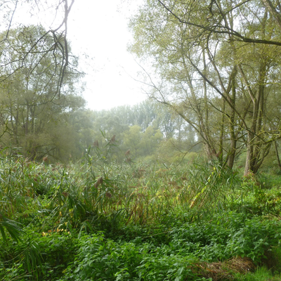 Balade : La biodiversité remarquable dans la nouvelle Réserve Naturelle des Marbaises.