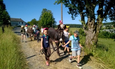 Stage "Rando, nature & ferme "