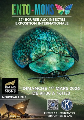 Image de l'événement 27e bourse aux insectes