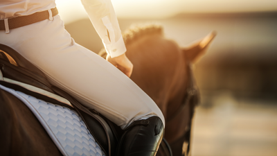 Image de l'événement Stages Ecuries de virchel - Comines-Warneton