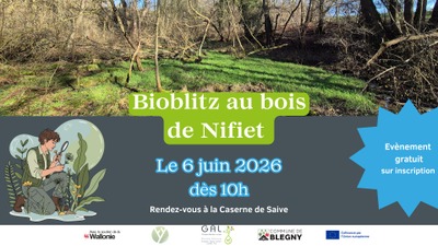 Bioblitz au bois de Nifiet