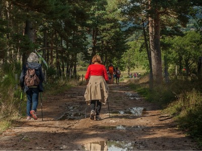 Image de l'événement Marche ADEPS - Vaux-sur-Sûre