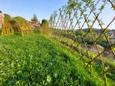 Image de l'événement Atelier : Médaillon sauvage