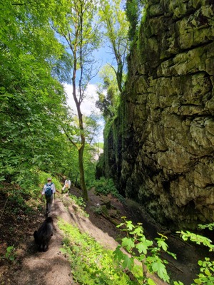 Image de l'événement Balade guidée : Patrimoine et sites naturels - Flémalle