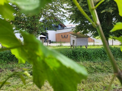 Flâneries dans les vignes du Domaine W