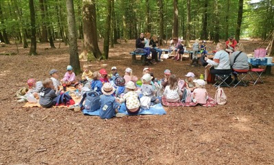 Stage "Je découvre la ferme"